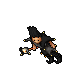Jester
