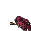 Beggar (Full Addons)