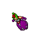 Royal Pumpkin