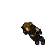 Hunter