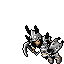 Insectoid