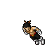 Assassin