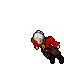 Pirate