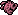 piece of dead brain
